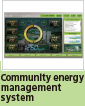 Community energy management system
